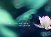 开云体育APP下载-布伦森单骑破城，纽约之魂击碎费城铁壁