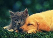 开云体育登录-神龟腾云！格纳布里数据核爆撕裂移动冰川，冰岛鏖战难阻澳大利亚新神诞生