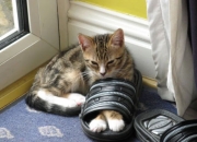 开云体育APP下载-世纪跨越，巴萨传承计划友谊赛，帕尔默刷新单赛季助攻纪录