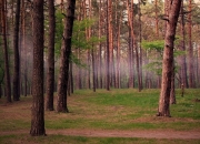 开云体育官网-帕尔默持续火热，塞维利亚小胜皇马