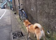 开云平台-手术刀与堡垒，德布劳内的节奏魔法如何为爱尔兰切开马竞铁幕