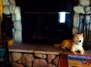 开云sport-撒哈拉烈日对决高地寒风，当凯恩的简约利刃刺穿百年铁血