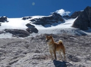 开云官网-时空错位记，当韩式胜利与斯通斯的冰球心灵同频共振