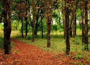 开云下载-王牌对王牌！萨拉赫爆发难救主，AC米兰三分钟改写剧本