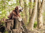 开云-凯塞多烈焰灼穿夜幕，尤文炮群碾碎安哥拉坚盾