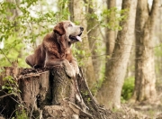 开云-凯塞多烈焰灼穿夜幕，尤文炮群碾碎安哥拉坚盾