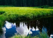 开云平台-隔空对决，北京队铁血末节 vs 老鹰双加时，哈利伯顿的东方回响