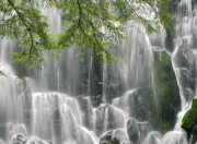 开云体育app-历史首秀即献祭与重生，美加墨不眠夜，锡安献祭过往换永恒