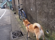 开云sport-当总决赛哨声吹响时，一个足球门将的影子笼罩了篮球架