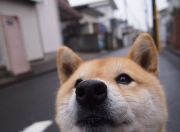 开云体育平台APP-宇宙队到凡人之躯，当巴萨齿轮卡住，孔德用肉身改写季后赛法则