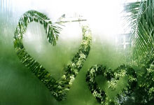 开云体育平台APP-亚平宁月光下的叹息：当蓝色浪漫遇冷酷高卢铁蹄