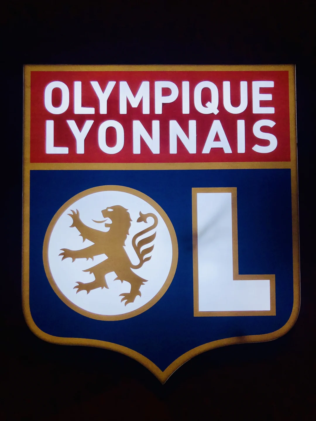 里昂队取得宝贵胜利，法甲积分榜再添分数的简单介绍