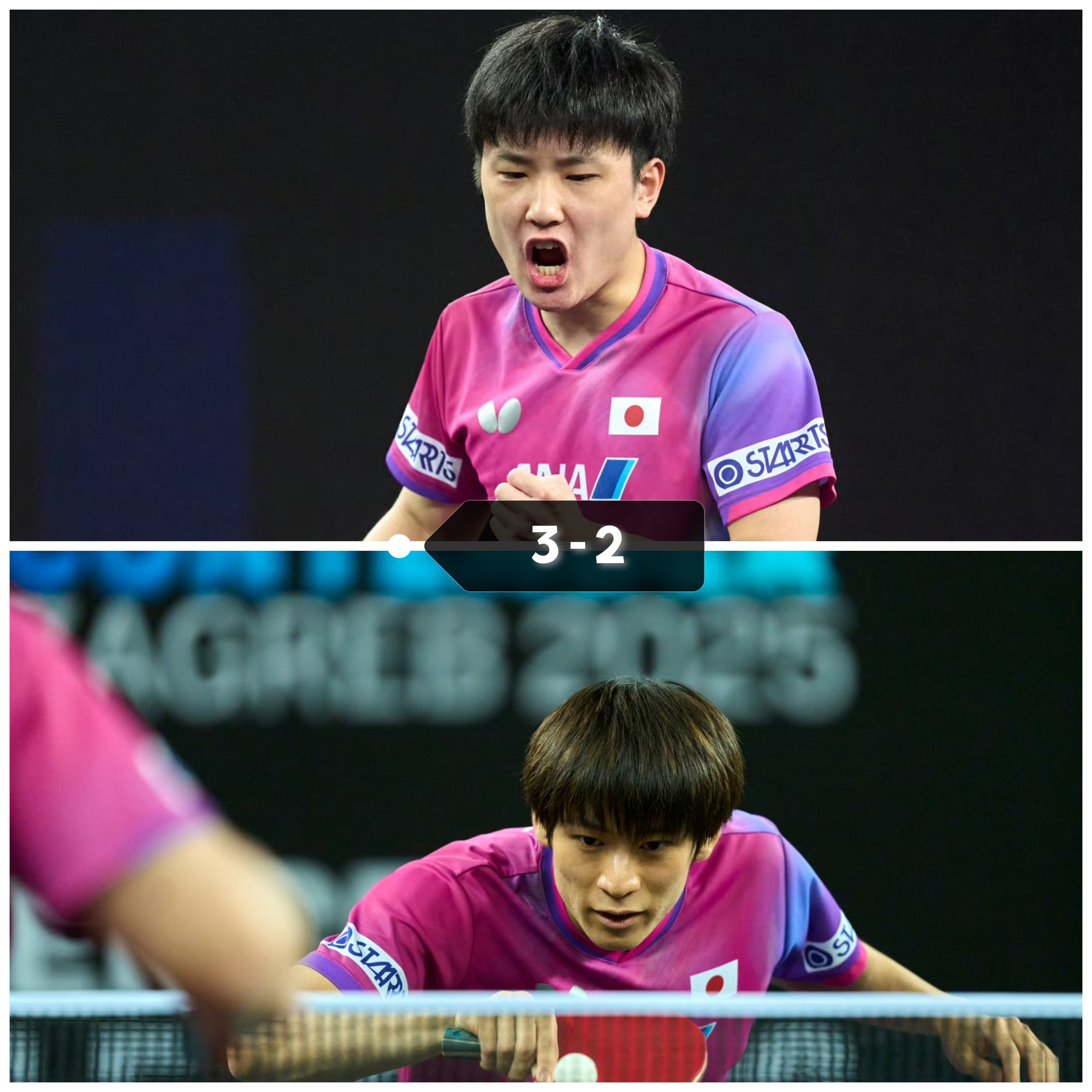 法国队轻取日本队，张本智和点燃赛场