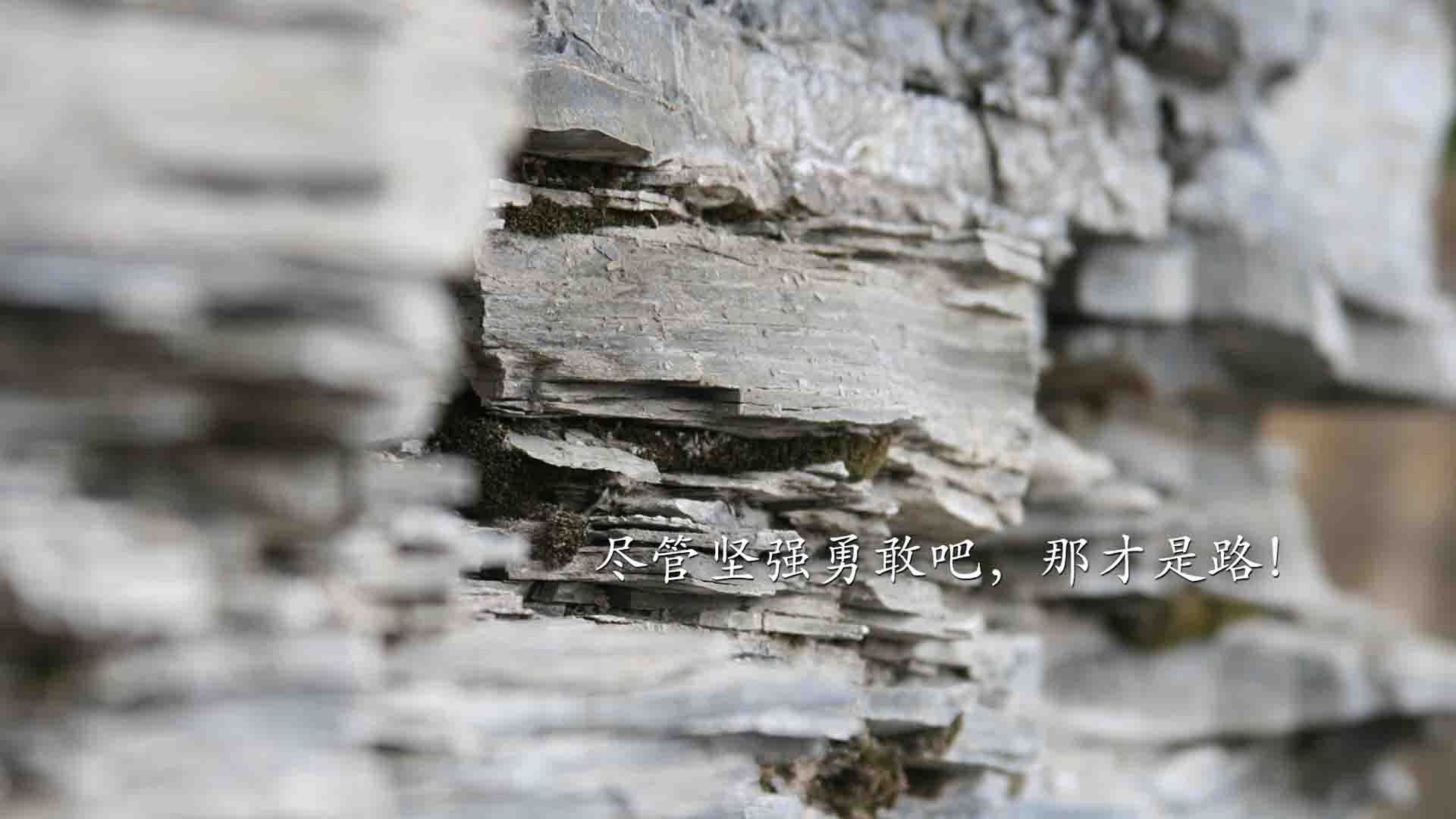 单节狂潮与大场面先生，当阿根廷篮球智慧照亮绿茵场