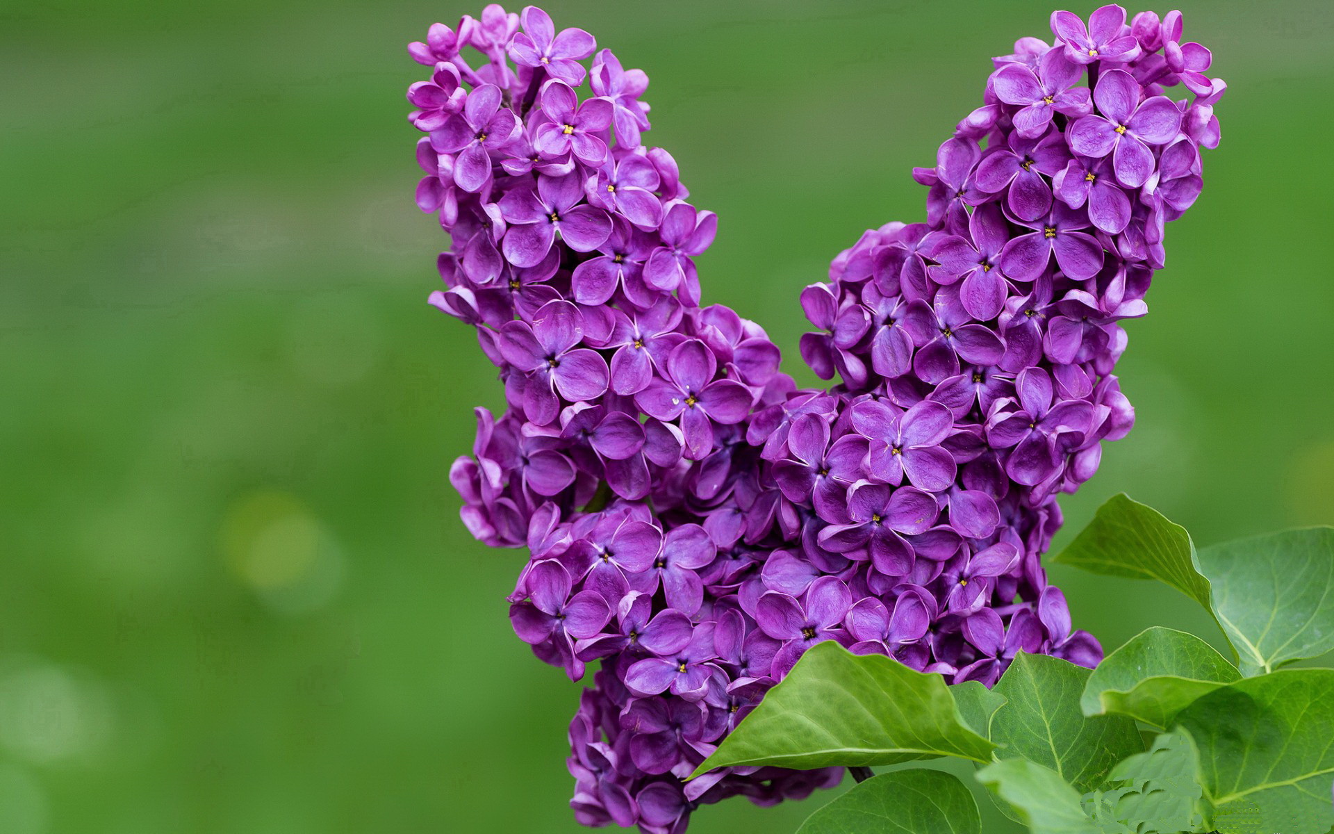 天山雪豹扑灭东北虎！新疆队史诗一战终结辽宁王朝，马克西绝杀改写CBA历史