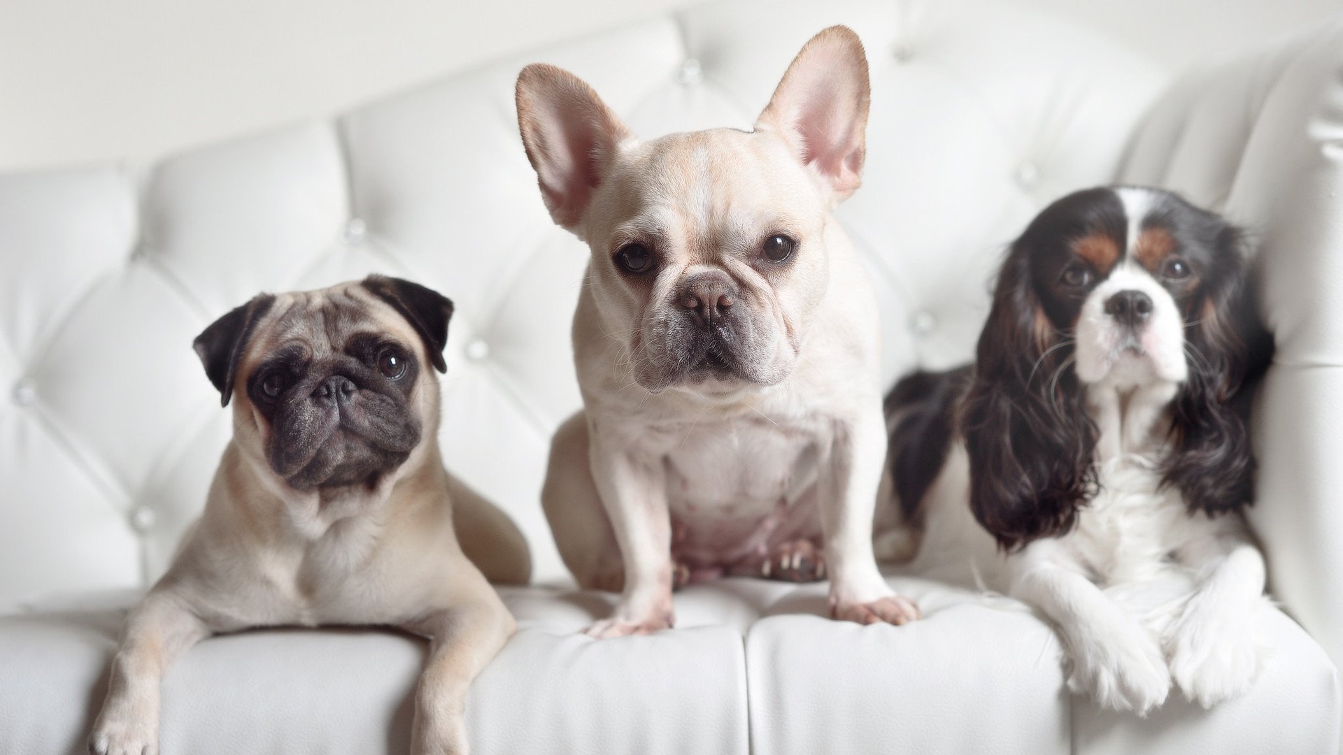 雷霆残阵,杜兰特单骑救主?