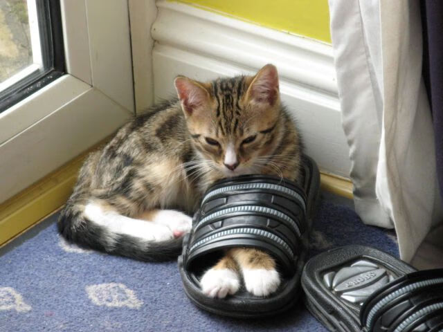 世纪跨越，巴萨传承计划友谊赛，帕尔默刷新单赛季助攻纪录