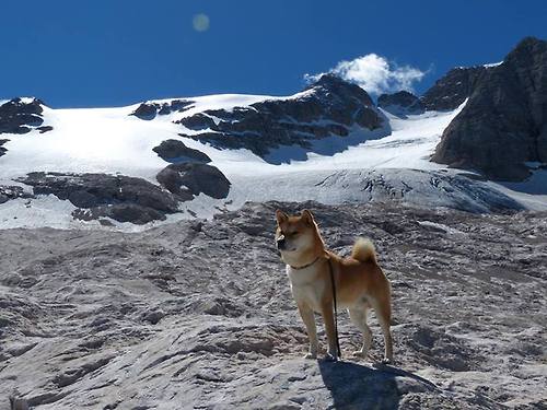 大场面先生与足球炼金术，当厄德高秘鲁式粉碎日本式传控