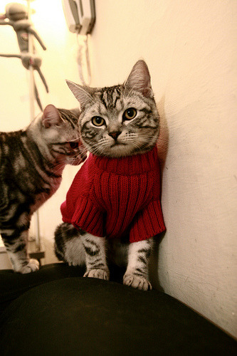 失控的时间沙漏,当F1揭幕战只剩最后两圈时,特奥抓住了旋转的世界