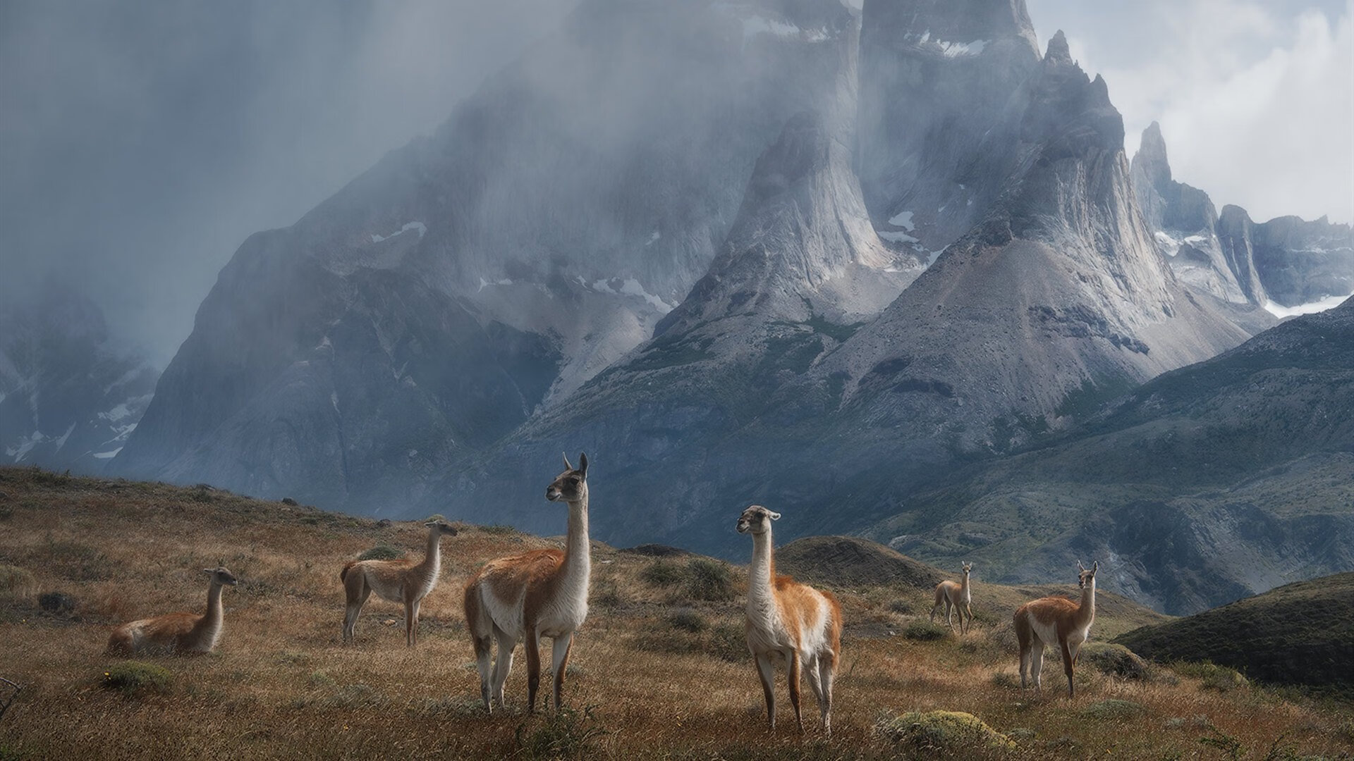 十六年的修正，2026世界杯之夜，保罗的完美救赎