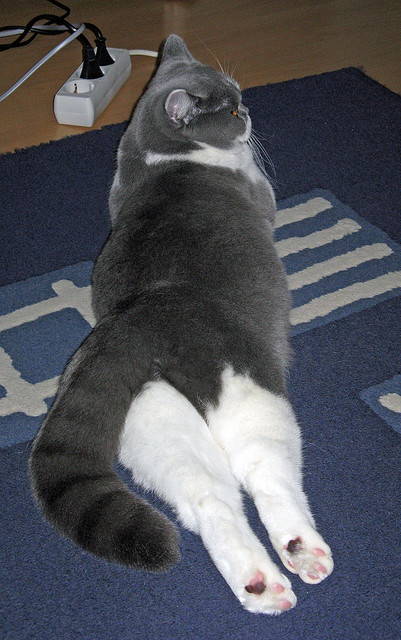 逆袭之手，墨西哥强行终结瑞典，阿坎吉意外成为关键先生