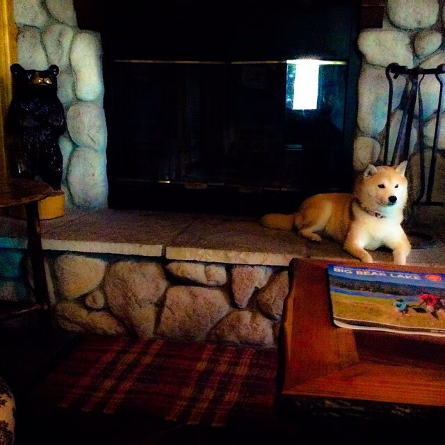 撒哈拉烈日对决高地寒风,当凯恩的简约利刃刺穿百年铁血