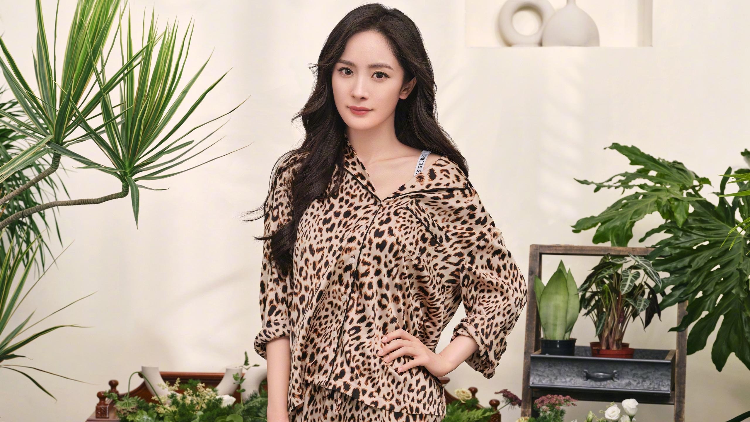 最耀眼的局外人，当76人对阵鹈鹕，为何全场高呼约基奇？