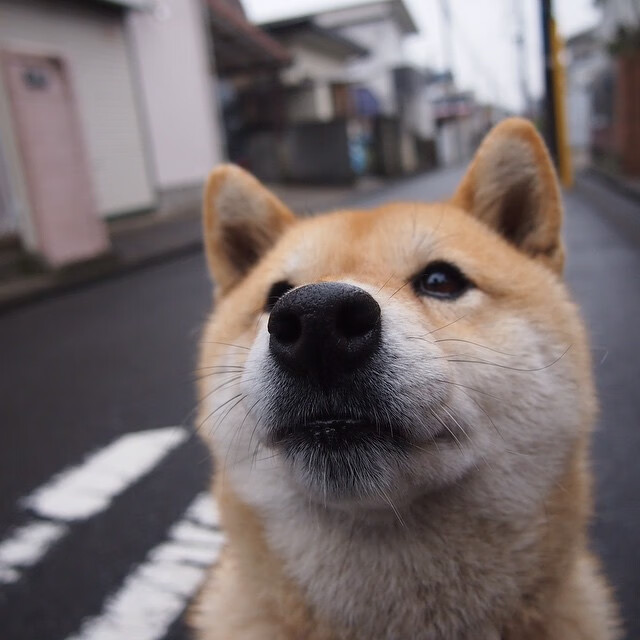 宇宙队到凡人之躯，当巴萨齿轮卡住，孔德用肉身改写季后赛法则