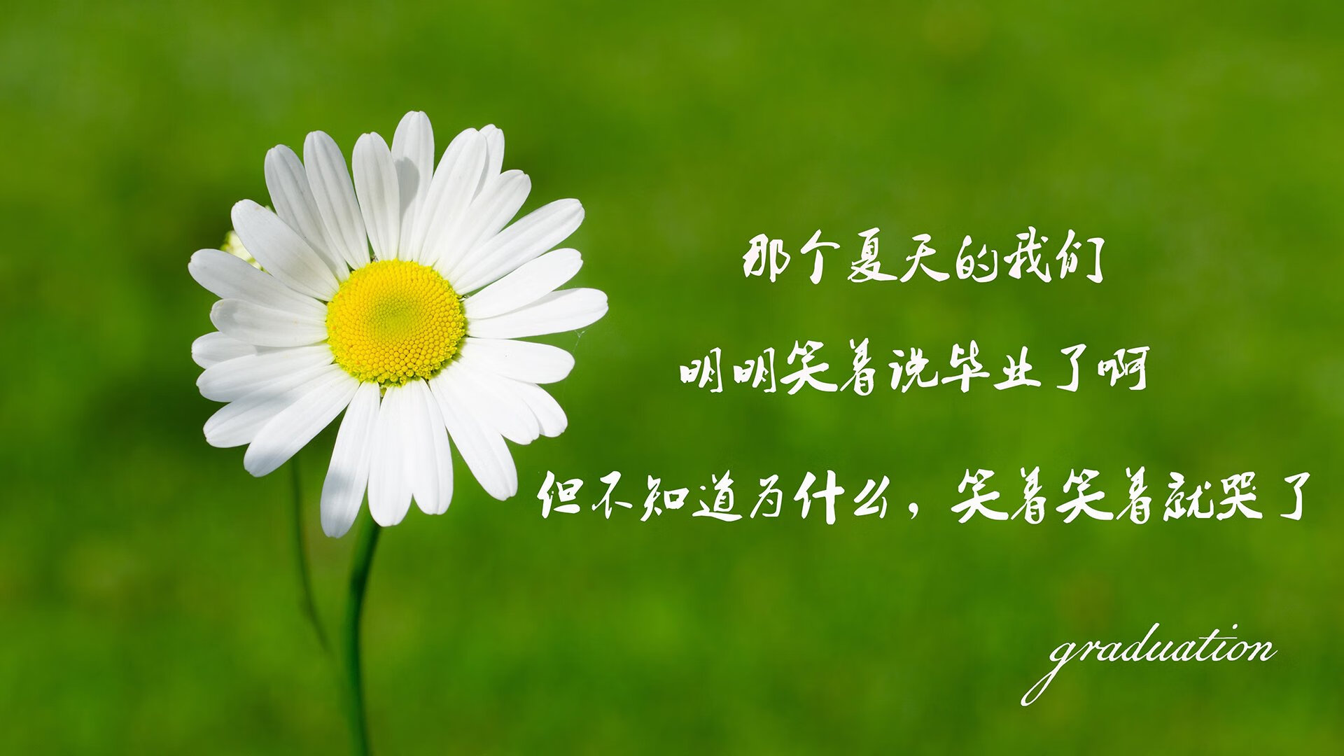 蓝衣军团的绝唱与复苏，2026世界杯H组生死战，意大利绝杀匈牙利，莱万独木难支