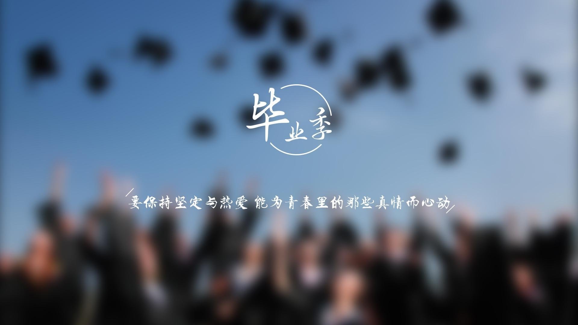 沙漠中的蓝白风暴，2026世界杯E组，莱万多夫斯基的中场魔术与乌兹别克斯坦的意外挑战